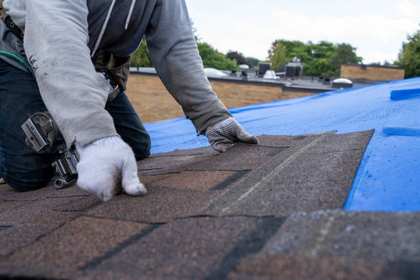 Best Roof Waterproofing Services  in Brinckerhoff, NY